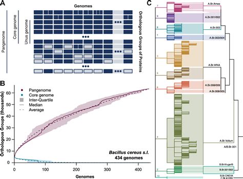 Figure 2 From The Microbial Genomes Atlas Miga Webserver Taxonomic