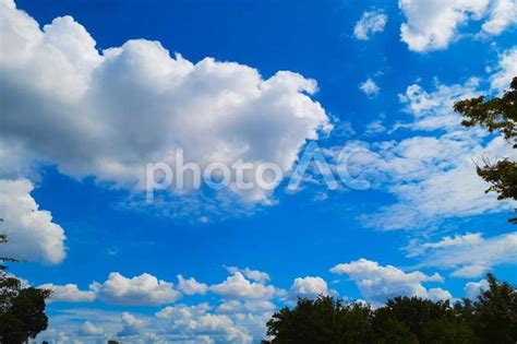 澄み渡る青空 コピースペース No 22364368｜写真素材なら「写真ac」無料（フリー）ダウンロードok