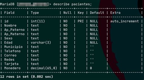 Insertar Valores En Una Tabla De Una Base De Datos En Mysql Con Images