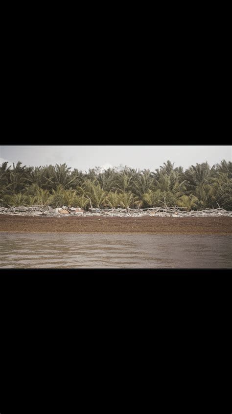 Cacique Films Realiza Premier Del Documental Isla De PlÁstico De Jose