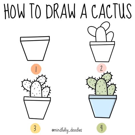 How To Draw A Cactus Step By Step Guide In Easy Doodles Drawings