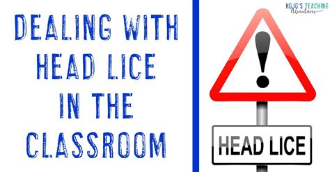 Dealing With Head Lice At School Hojos Teaching Adventures