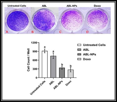 Clonogenic Assay For Mcf Cells Treated With Ic Dose Of Both Abl And