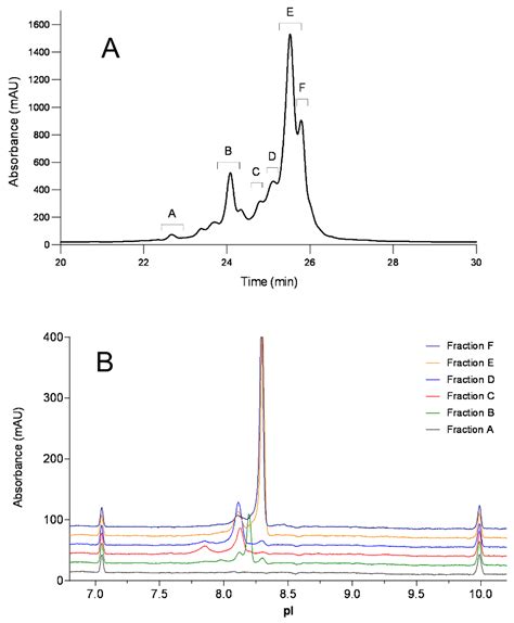 Antibodies Free Full Text Characterization Of N Terminal Asparagine