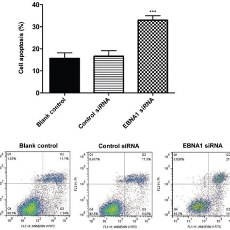 Knockdown Of Ebna Promotes The Apoptosis Of Gt Cells A Flow