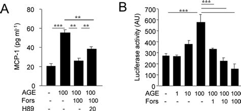 Figure S1 CAMP Elevation Suppresses AGE BSA Induced MCP 1 Secretion And