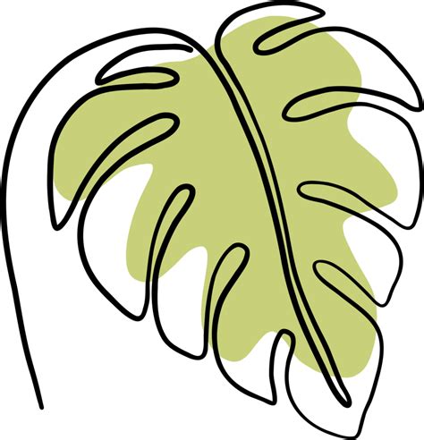 Simplicity Monstera Leaf Freehand Continuous Line Drawing Png