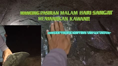 MANCING PASIRAN SAAT MALAM SORE HARI STREAK BABON YouTube