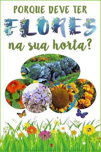 Conheça as flores que deve ter na sua horta para ajudar a combater as