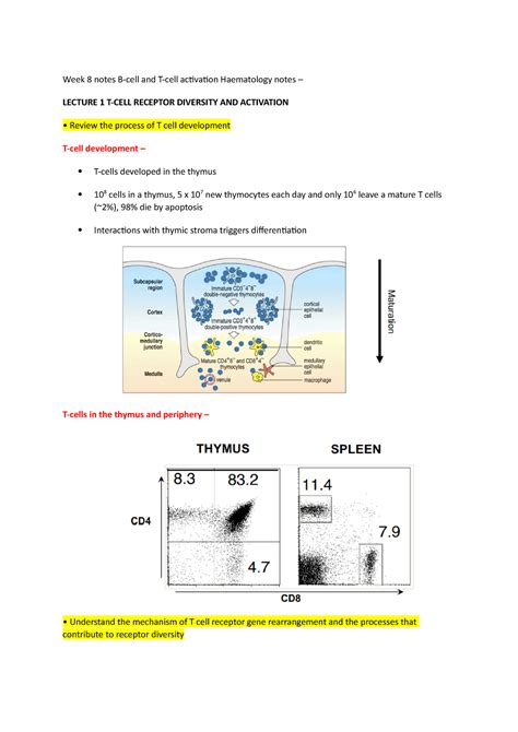 Week Notes B Cell And T Cell Activation Haematology And Immunology