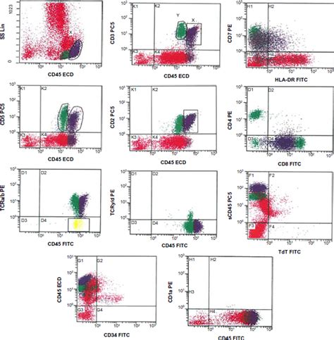 Flow Cytometry Analysis Of Bone Marrow Aspirate At Presentation Download Scientific Diagram