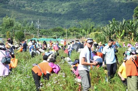 攜手農友與農企 花蓮第一屆胡蘿蔔節登場 風傳媒 Line Today