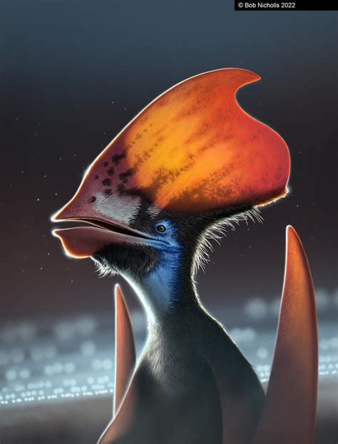 Pterosaur Discovery Solves Ancient Feather Mystery: Flying Reptiles ...