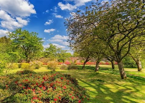 4k Bargany Gardens Scotland Parks Trees Shrubs Lawn Hd Wallpaper