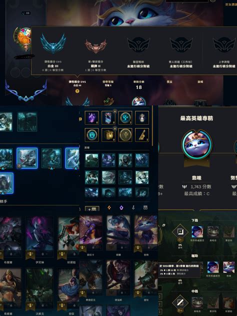 英雄聯盟lol帳號 Yu安 手工刷單雙彈性雙低隱號 鐵銅銀金白翡翠幫忙拉隱分 陪打打手專用號 8591寶物交易網