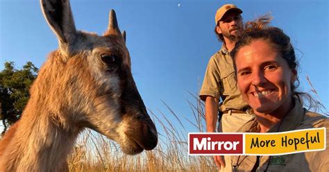 Couple Who Rescued Orphaned Two Week Old Antelope Reunite With Her In