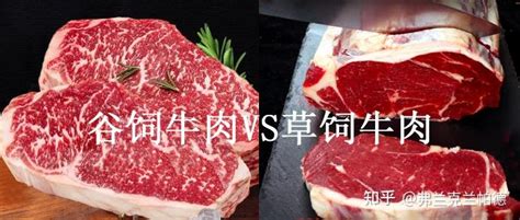 牛排选购与做法完全指南（附牛排品牌推荐） 知乎