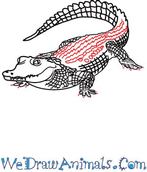 How to Draw a Realistic Crocodile