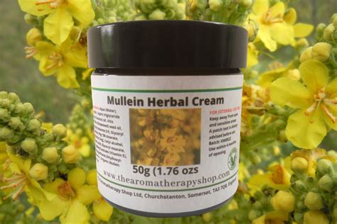 Mullein Cream The Aromatherapy Shop Ltd