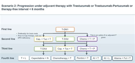 Scenario T Dm Trastuzumab Emtansine Cap Capecitabine Tuc