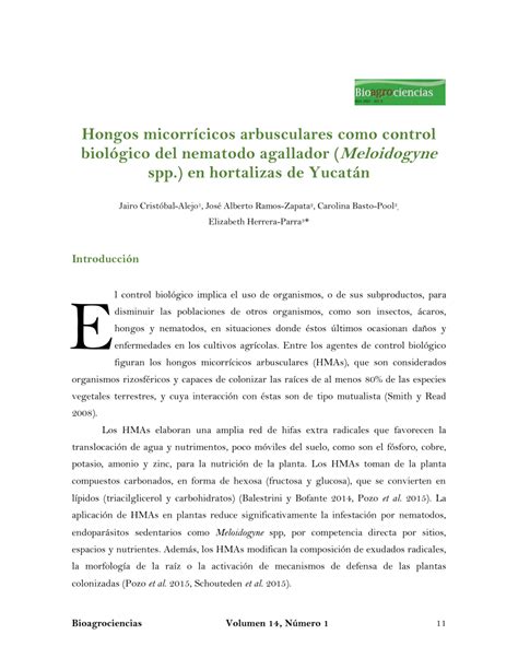 PDF Hongos micorrícicos arbusculares como control biológico del