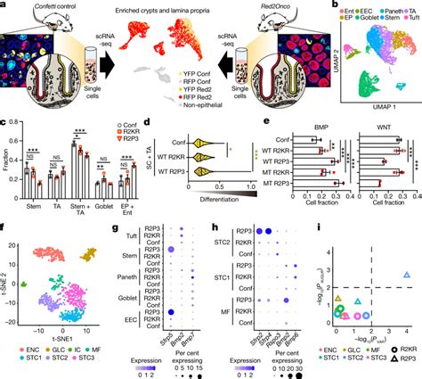 Comparative Single Cell Analysis Identifies Oncogene Driven Niche