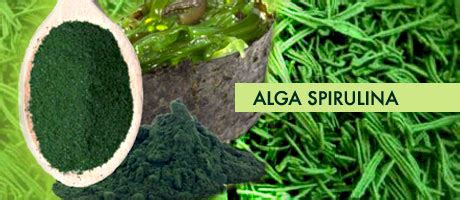 La Super Alga Spirulina Immunostimolante Anticancro Anti Radicali