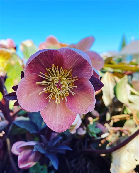 Best Quebec Images On Pholder Most Beautiful City Porn And