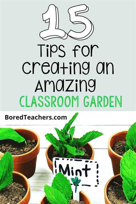 15 Tips For Creating An Amazing Classroom Garden