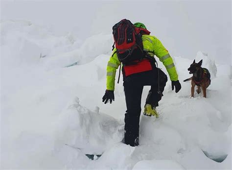 Sicuri Sulla Neve I Cani Da Valanga Del Soccorso Alpino Sono Pronti A