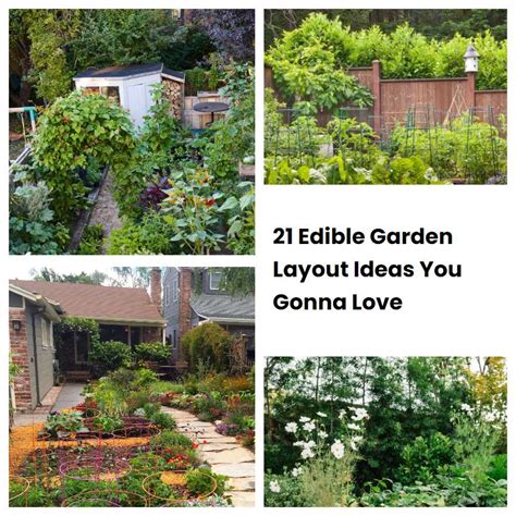 21 Edible Garden Layout Ideas You Gonna Love SharonSable