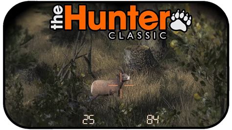 The Hunter Classic : All you need to know about Deer Hunter Classic ...