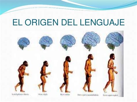 Origen Y Evolucion Del Lenguaje Pdf Evolucion Humana Evolucion Themelower