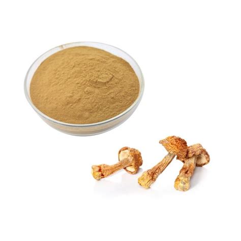 Organic Agaricus Blazei Extract Shanghai YOH Bio Tech Co Ltd