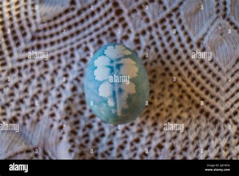 Easter Egg Painted With Natural Egg Dye From Plants Stock Photo Alamy