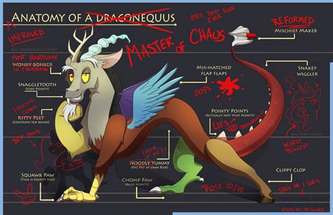 Equestria Daily Mlp Stuff Anatomy By Discord