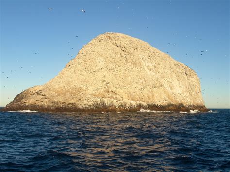 About Farallon Islands | San Francisco Whale Tours