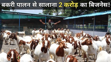 ऐसी शानदार करोड़ों की बकरी फैक्ट्री देखकर मज़ा ना आए तो कहना Goat