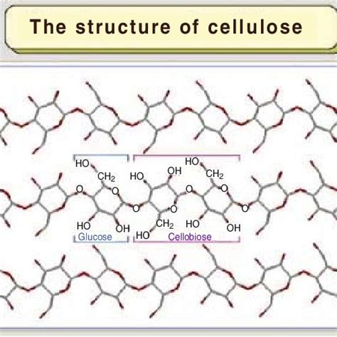 Composition Of A Typical Xylan Component Of Hemicellulose The