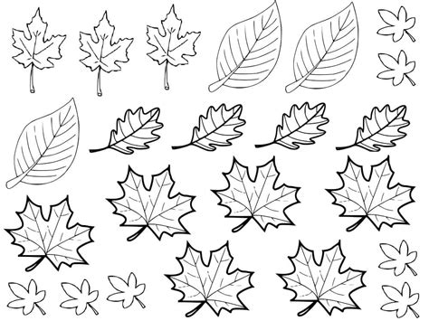 Coloriage Arbre Automne T L Charger Et Imprimer Gratuit Sur