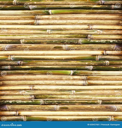 Fundo De Bambu Verde Da Cerca Foto De Stock Imagem De Prancha Velho