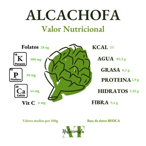 Alcachofa Tantas Cualidades Como Hojas Ana Tu Nutricionista