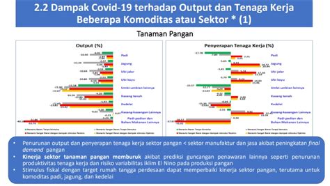 IPB Stimulus Ekonomi Kunci Solusi Dampak Covid 19 Terhadap Sektor