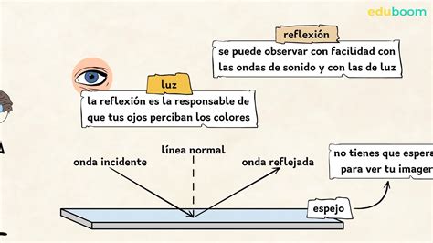 Ondas de luz y sonido Propagación reflexión refracción Física y