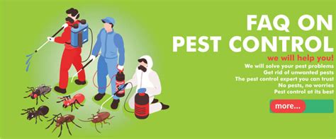 5 Pest Control Services In Surat With Charges