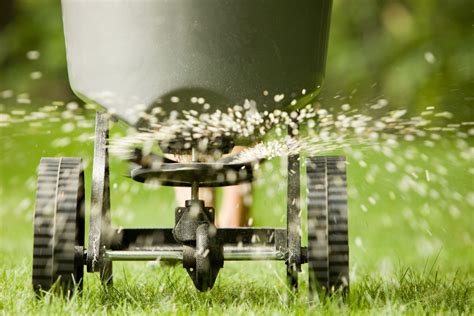 Best Fall Fertilizer For Grass Plants And Bulbs In The Fall This