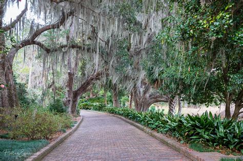 Alfred B Maclay Gardens State Park Go Wandering