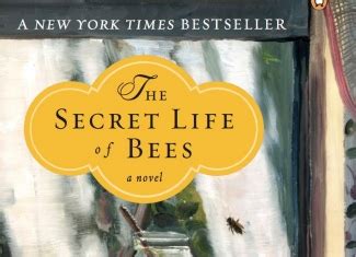 The Secret Life of Bees | Book Reviews | EEWC-Christian Feminism Today