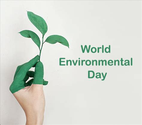 World Environment Day/ Earth Day - 1HR.market