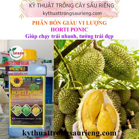 HORTI PONIC – PHÂN BÓN GIÀU VI LƯỢNG XANH BÔNG, CHẠY TRÁI